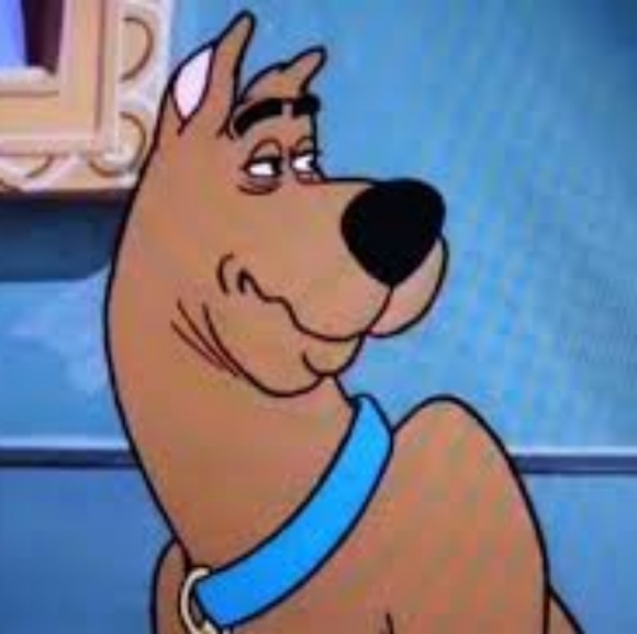 Meet your Posher, Tomo - Picture 1 of 1